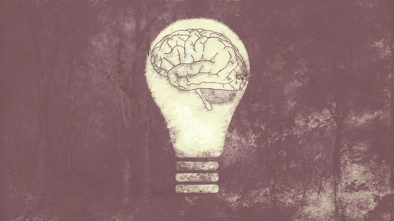 light bulb, brain, psyche-5793793.jpg
